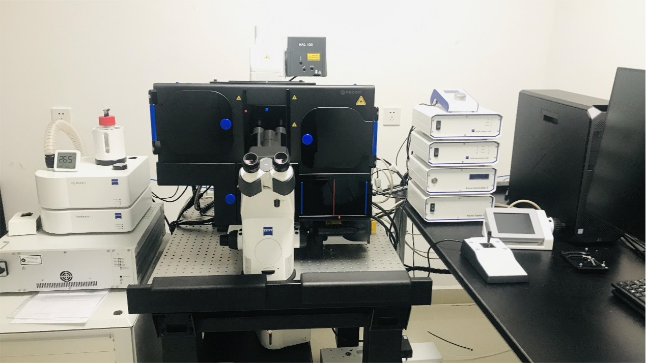 随机光学重建荧光显微镜